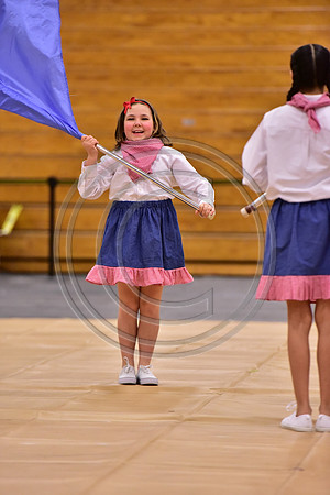 Pegasus Too JR Guard-198