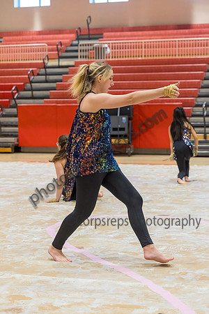 N-8 Winterguard Novice_250201_Hillsborough HS-JB00005