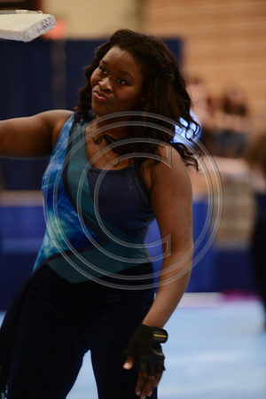 Haddon Heights High Voltage Guard-732