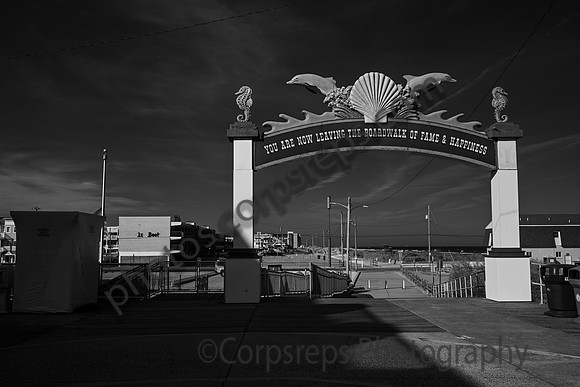 _240501_Wildwood-XX00007