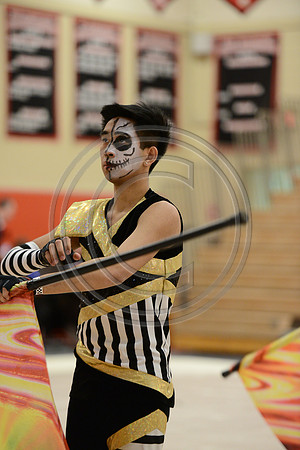 Bloomfield Guard-560