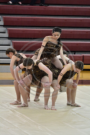 Rhythm in Motion Open Dance-313
