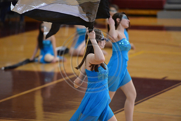 Whitehall Guard-555