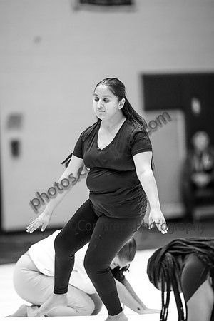 North Plainfield Guard_250208_Council Rock South-01149