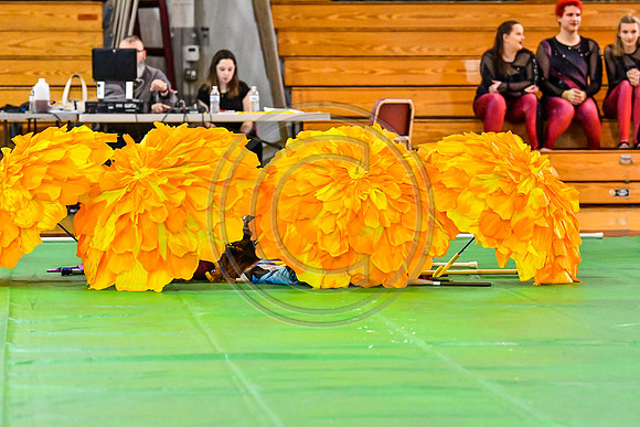 Appoquinimink Silver Guard_190316_Avon Grove-8531