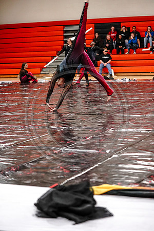Appoquinimink Maroon Guard_190504_Wildwood-7307789