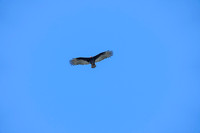 _241005_Annapolis-02285