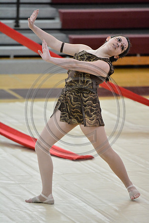 Rhythm in Motion Open Dance-335