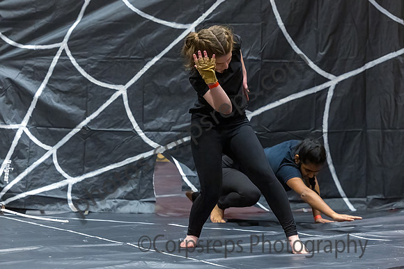 Hopewell Valley Central Guard_250201_Hillsborough HS-JB00012
