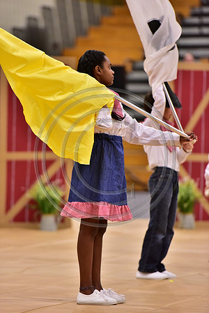Pegasus Too JR Guard-157