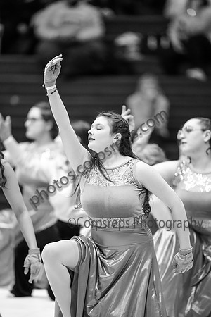 Pennsbury Guard_250208_Council Rock South-02262