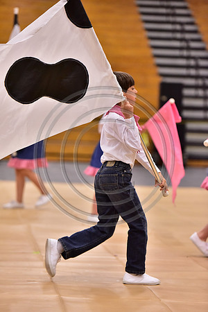 Pegasus Too JR Guard-160