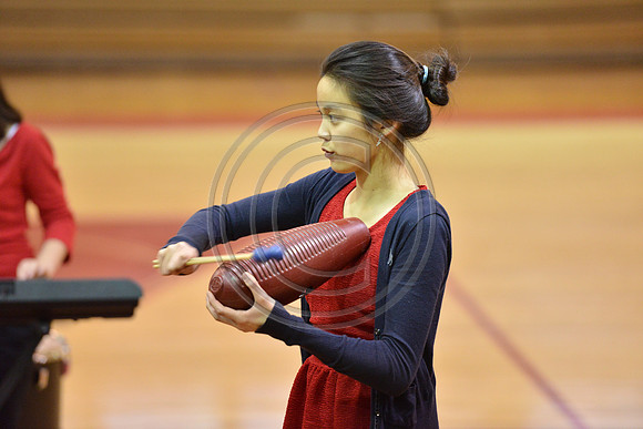 Terrill MS Percussion-141
