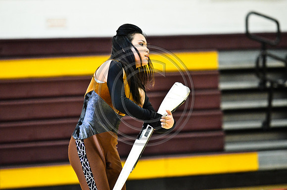 Triton Regional Guard-1024