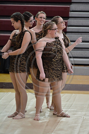 Rhythm in Motion Open Dance-311