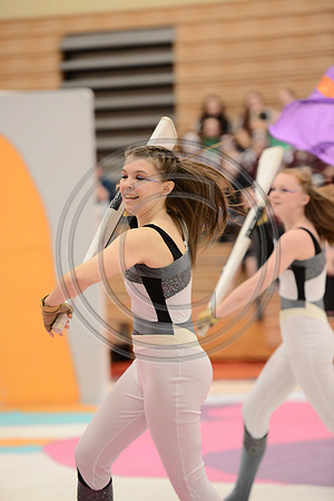North Penn Guard-808