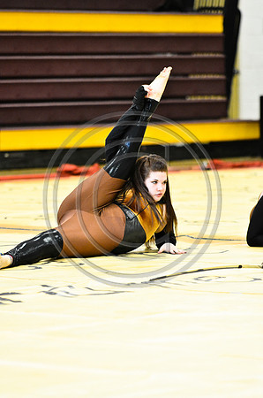 Triton Regional Guard-1011