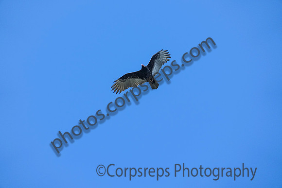 _241005_Annapolis-02287