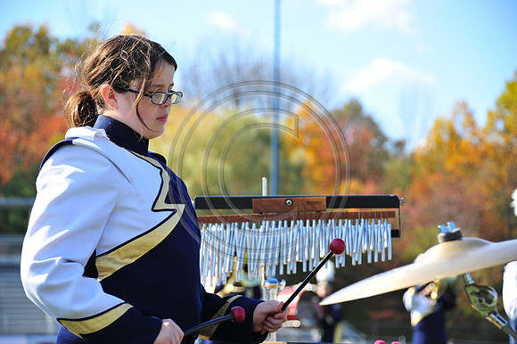Schuylkill Haven-115
