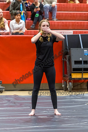 Hopewell Valley Central Guard_250201_Hillsborough HS-JB00022
