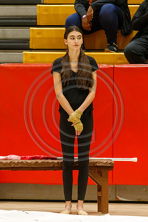 Hillsborough_Guard_230204_Hillsborough-JB03254
