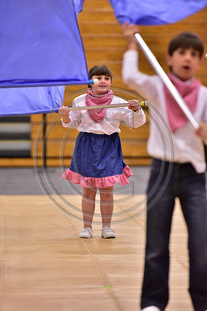 Pegasus Too JR Guard-196