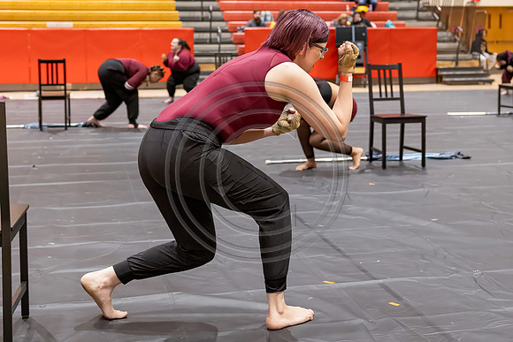 Winter_Star_Guard_240203_Hillsborough_HS-JB00014