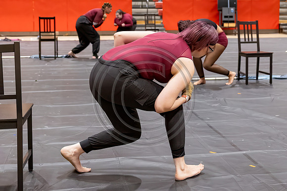Winter_Star_Guard_240203_Hillsborough_HS-JB00015