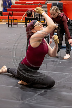Winter_Star_Guard_240203_Hillsborough_HS-JB00023