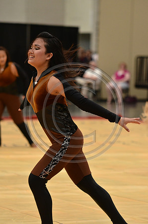 Triton Regional Guard-606