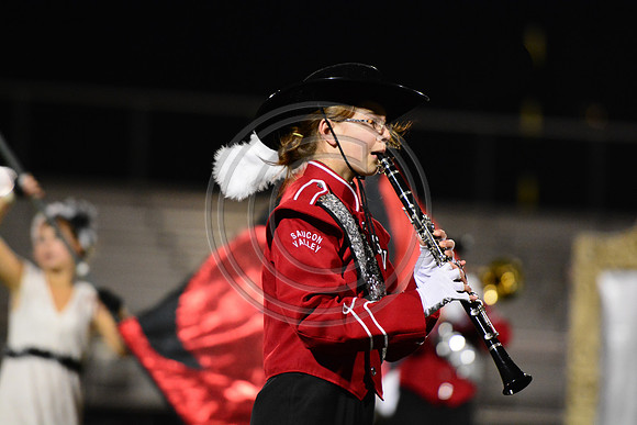 Saucon Valley High School Panthers Marching Band-253
