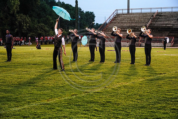 Carolina Gold_190713_Millbrook-03297