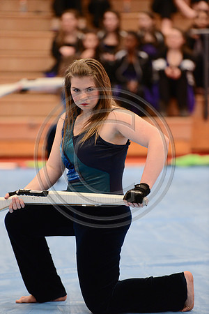 Haddon Heights High Voltage Guard-737