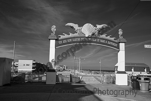 _240501_Wildwood-XX00009