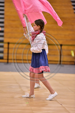 Pegasus Too JR Guard-158