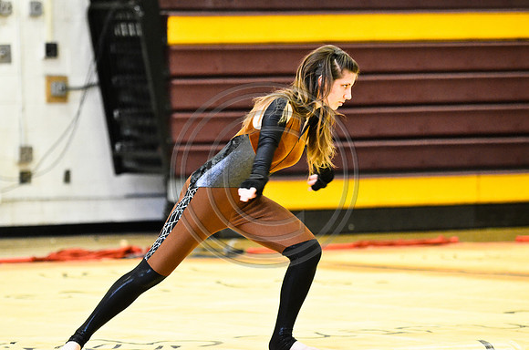 Triton Regional Guard-1004