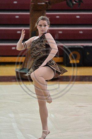 Rhythm in Motion Open Dance-319