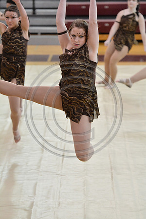Rhythm in Motion Open Dance-326
