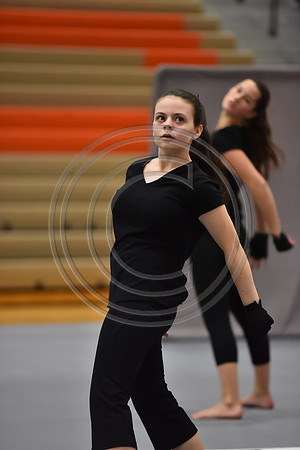 Governor Mifflin Guard-875