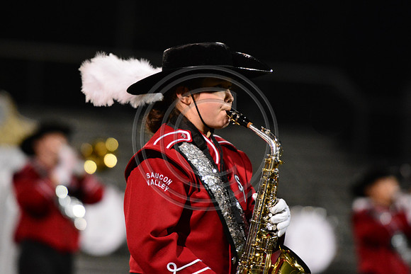Saucon Valley High School Panthers Marching Band-250