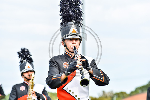 Pitman_161016_Deptford-4418