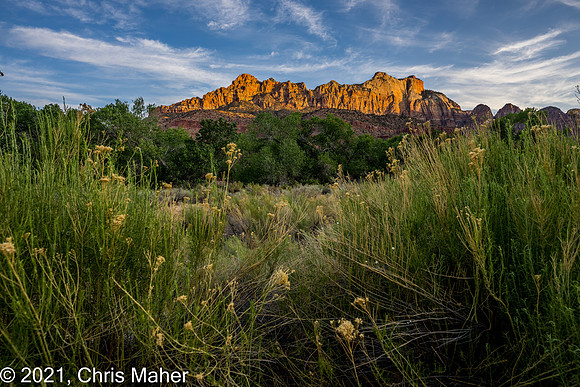 016-Sunrise in Springdale