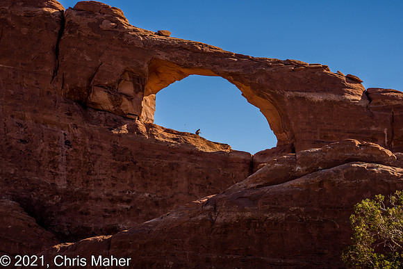024-Skyline Arch Walker