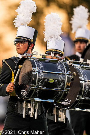 093-The Basses