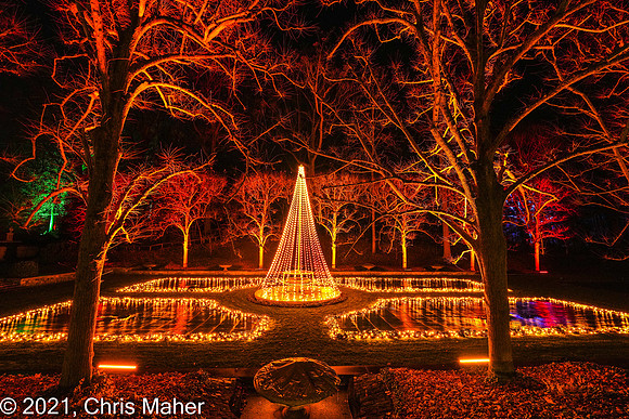 099-Oh Christmas Tree