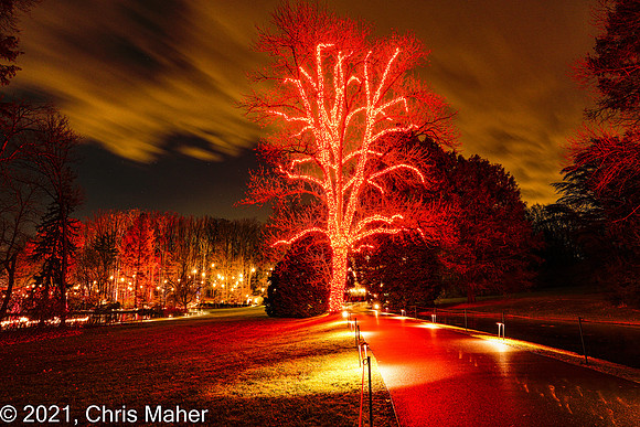 100-A Longwood Christmas