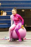 Holland_MS_Guard_230211_Council_Rock_South-JB00833