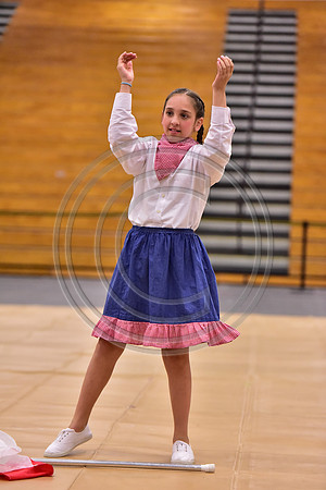 Pegasus Too JR Guard-155