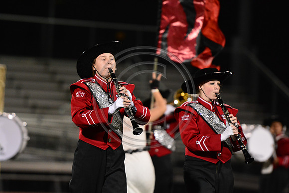 Saucon Valley High School Panthers Marching Band-255