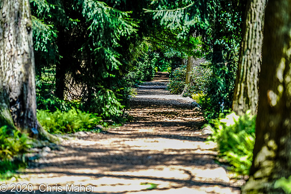 066-An Unclear Path